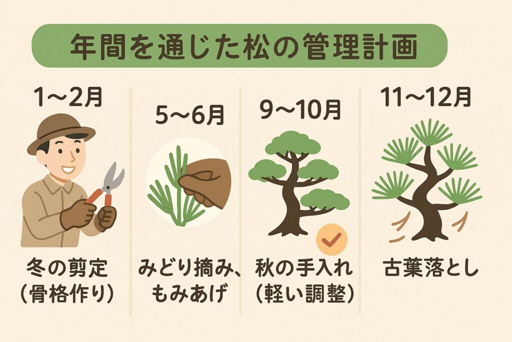 年間を通じた松の管理計画