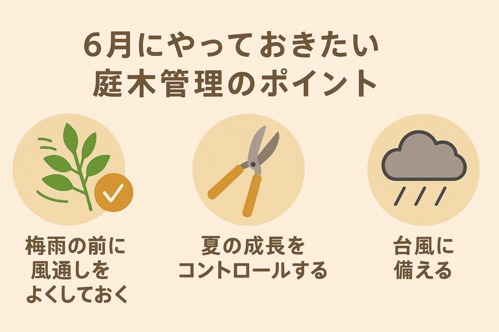 6月にやっておきたい庭木管理のポイント