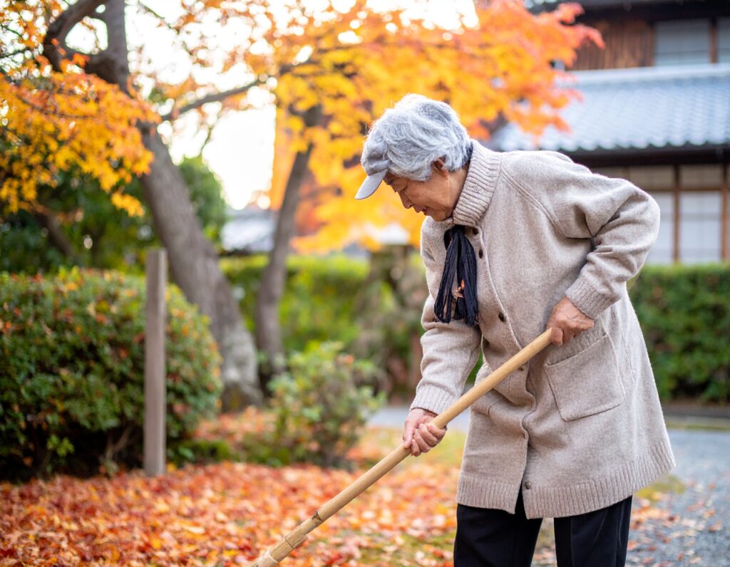 秋の庭掃除　腰痛　御庭番.com