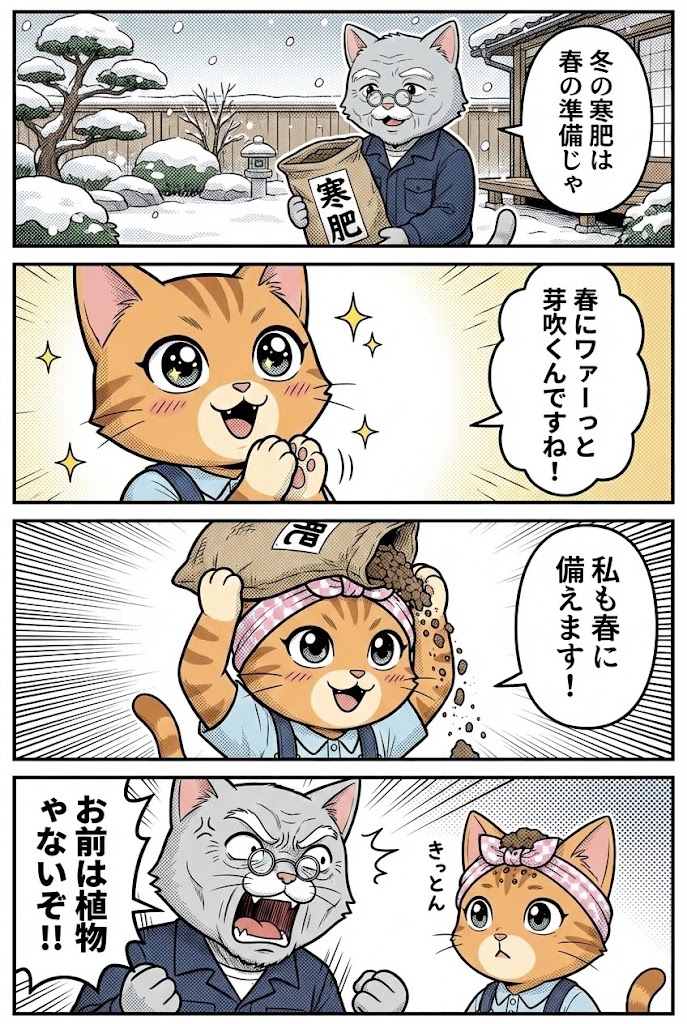 寒肥についての4コマ漫画 - 松之助と松葉