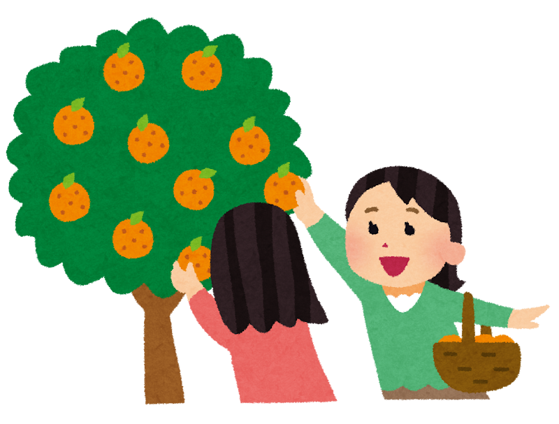 収穫 庭木 柿 みかん 柚子 御庭番.com