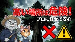 高い場所は危険！ プロに任せて安心