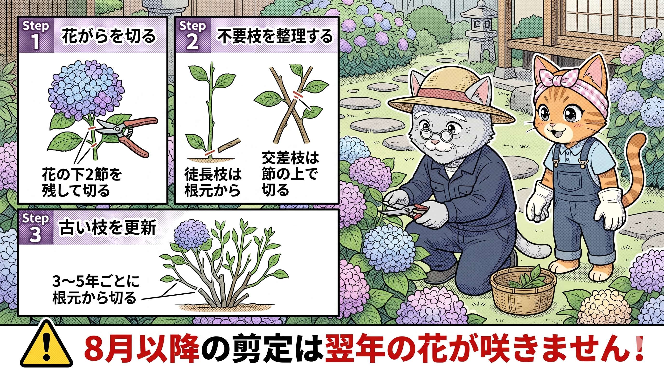 アジサイの剪定3ステップ：花がら切り・不要枝整理・古枝更新