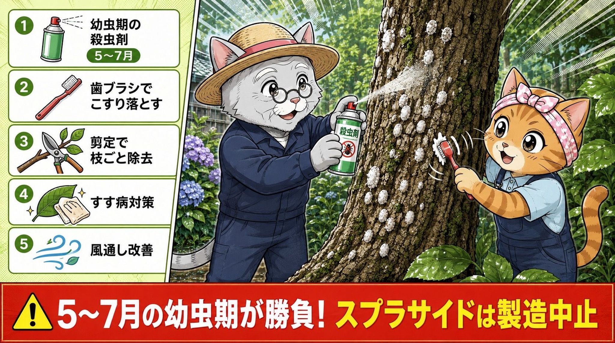 カイガラムシ駆除5つの方法を図解、5〜7月の幼虫期が勝負という警告付きイラスト