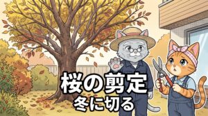 葉が色づいたサクラの前で剪定時期を松之助と松葉が解説する秋の庭