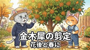 キンモクセイの剪定時期を松之助と松葉が解説する秋の庭